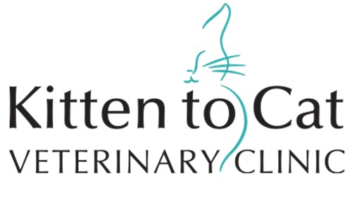 Kitten To Cat Logo